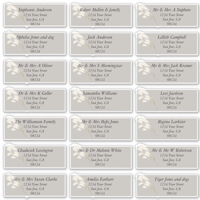 Adesivo Pampas brancas de marfim legante (Frente)