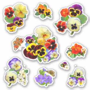 Adesivo Pansies Deliciosos Vinheta de Contorno