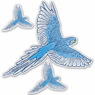 Adesivo Papagaio a Voo, Azul Cobalto e Branco