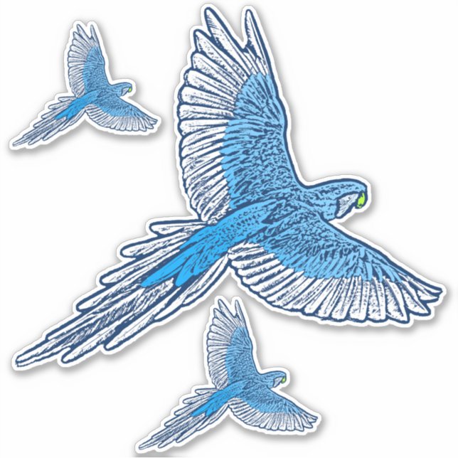 Adesivo Papagaio a Voo, Azul Cobalto e Branco (Frente)