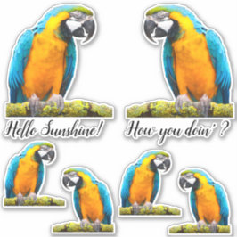 Adesivo Papagaio Colorido No Lichen Branch Personalizado