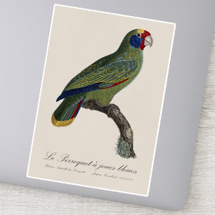 Adesivo Papagaio-de-cauda-vermelha, Amazona Brasiliensis