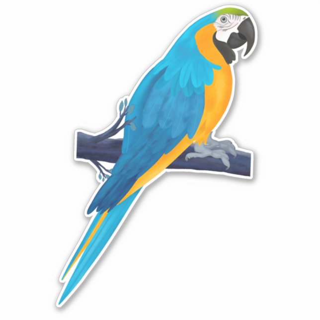 Adesivo Papagaio Macaw em Azul e Dourado (Frente)