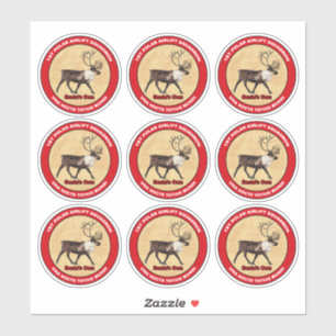 Adesivo Papai noel Próprio - Autocolante do Esquadrão de