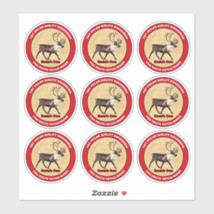 Adesivo Papais noeis próprios - Especial