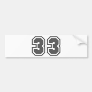 ADESIVO PARA CARRO 33.