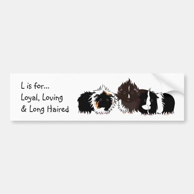 Adesivo Para Carro 3 long haired piggies bumper sticker (Frente)
