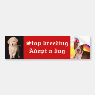 Adesivo Para Carro A criação de animais da parada adota um cão