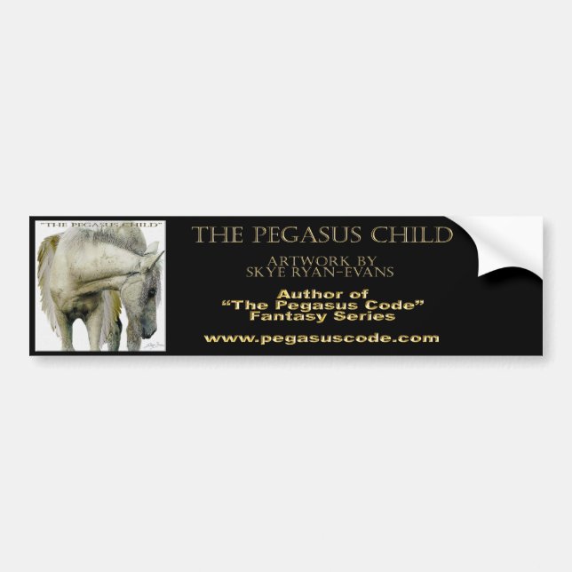 ADESIVO PARA CARRO "A CRIANÇA PEGASUS" (Frente)