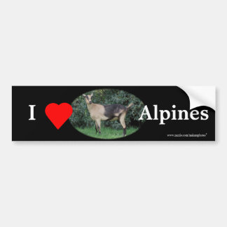 Adesivo Para Carro A faísca Bumpersticker-personaliza