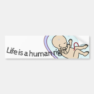 Adesivo Para Carro A vida é um direito humano! vida