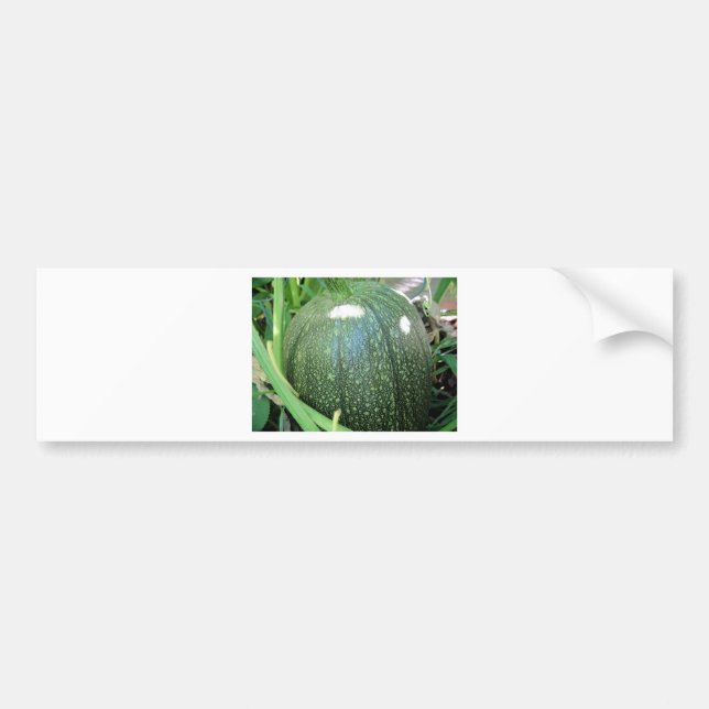 Adesivo Para Carro Abóbora Verde (Frente)