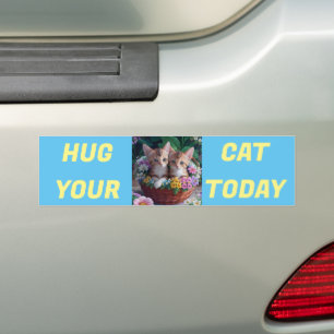 Adesivo Para Carro Abrace seu gato hoje