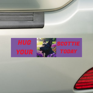 Adesivo Para Carro Abrace seu Scottie hoje