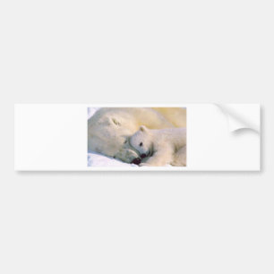 Adesivo Para Carro Abraços de urso polar