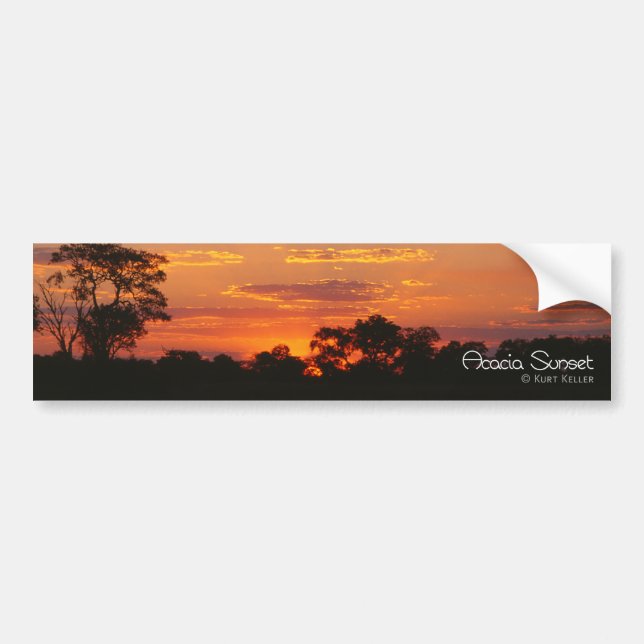 Adesivo Para Carro Acacia Sunset (Frente)