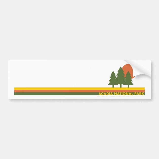 Adesivo Para Carro Acadia National Park Pine Trees Sun (Frente)