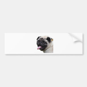 Adesivo Para Carro Adicione nomes aos acessórios de fotos de Pug bra