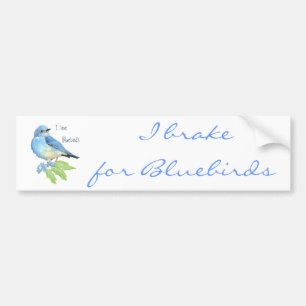 Adesivo Para Carro Adoro Bluebird, Bird Collection