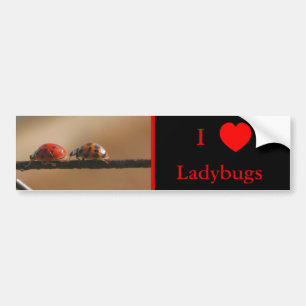 Adesivo Para Carro Adoro Heart Ladybugs Natureza 2
