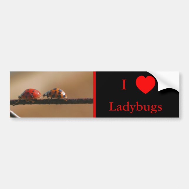Adesivo Para Carro Adoro Heart Ladybugs Natureza 2 (Frente)