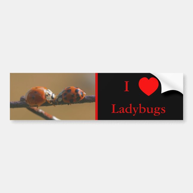Adesivo Para Carro Adoro Heart Ladybugs Natureza 3 (Frente)