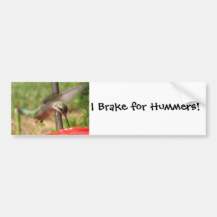 Adesivo Para Carro AF colibri Bumpersticker