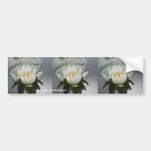 Adesivo Para Carro Água Lily Flor Bumper Stick Carro