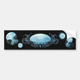 Adesivo Para Carro Água-viva Haeckel Personalizável
