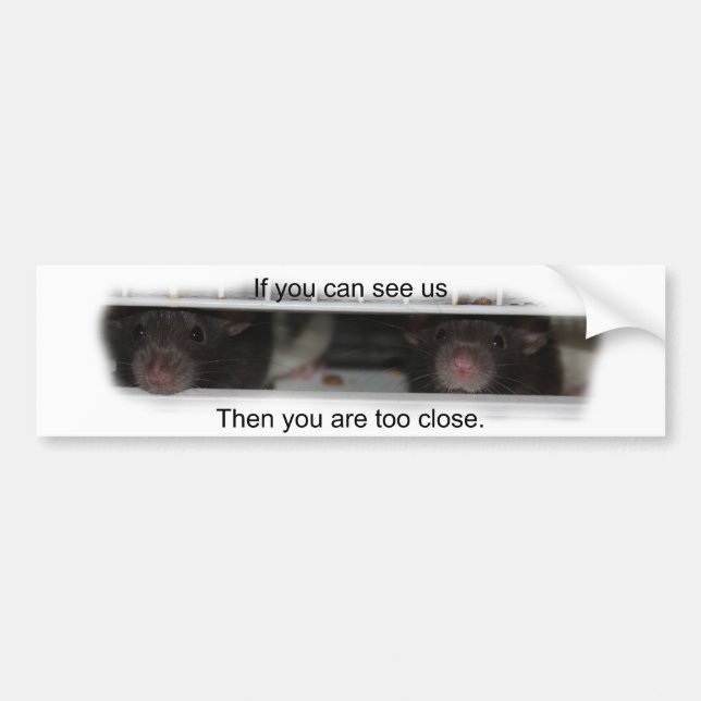 Adesivo Para Carro Alimente-me Rattie (Frente)