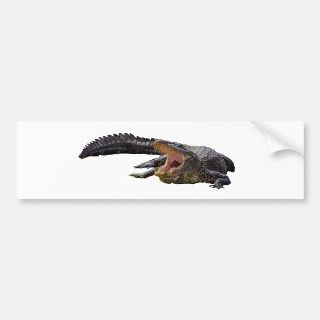 Adesivo Para Carro Alligador (Frente)