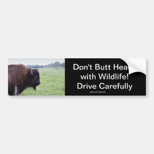 Adesivo Para Carro American Plains Buffalo Bison