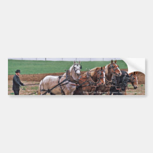 Adesivo Para Carro Amish Team Bumper Sticker