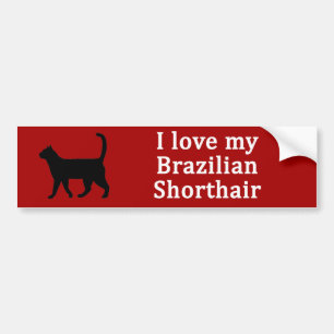 Adesivo Para Carro Amor de curta distância brasileira