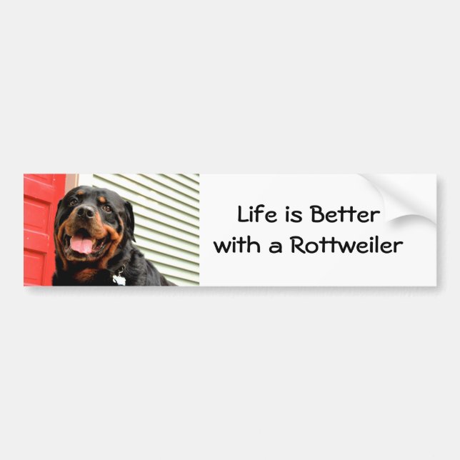 Adesivo Para Carro Amor de Rottweiler (Frente)