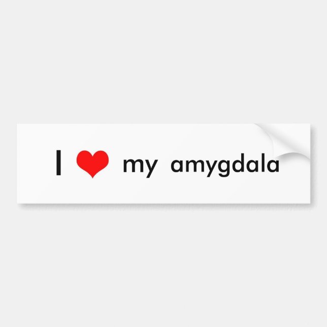 Adesivo Para Carro Amor do cérebro (Frente)