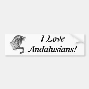 Adesivo Para Carro Andalusian Prancing