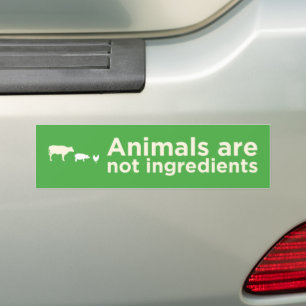 Adesivo Para Carro animais não são ingredientes de vegan verde