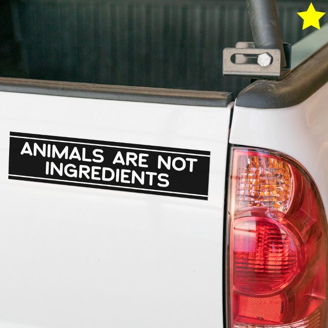 Adesivo Para Carro Animal Rights Phrase Vegan Vegetarian Saying (Criador carregado)