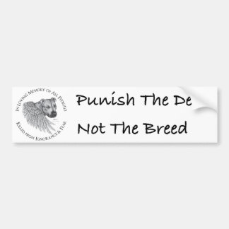 Adesivo Para Carro Anjo de Zeus