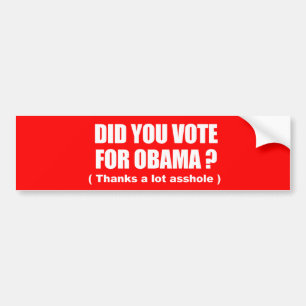 Adesivo Para Carro Anti-Obama - você votou para obama - obrigados