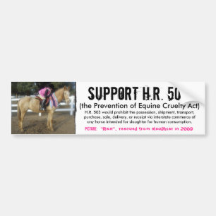 Adesivo Para Carro Apoio H.R. 503 - prevenção da crueldade aos