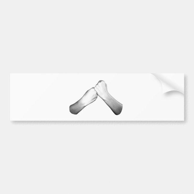 Adesivo Para Carro Apoio no ASL (Frente)