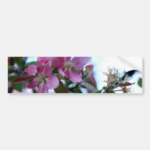 Adesivo Para Carro Apple floresce autocolante no vidro traseiro