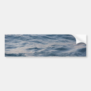 Adesivo Para Carro Aproximação de água do mar