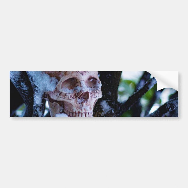 Adesivo Para Carro Arcana Winter I (Frente)