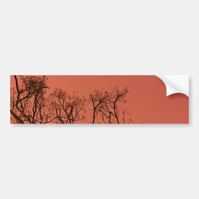Adesivo Para Carro Árvore com céu vermelho (Frente)