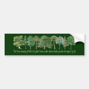 Adesivo Para Carro Árvores de Plantas - Tree Lover, Hugger