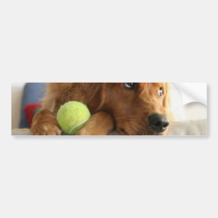 Adesivo Para Carro ASPCA-Cão