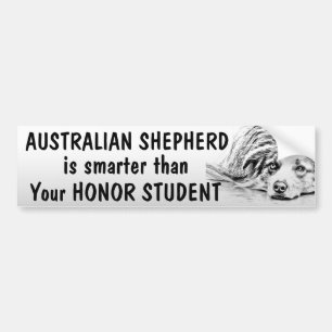 Adesivo Para Carro Australiano Shepherd - Mais inteligente que o estu